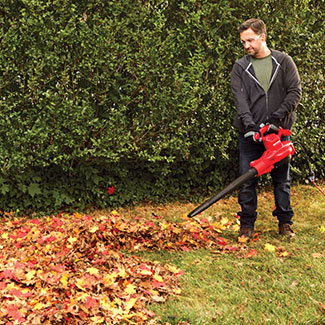 Outdoor Living Craftsman LeafBlowers