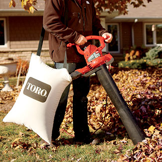 Outdoor Living Toro LeafBlower