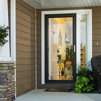 Larson Platinum Full Glass Storm Door