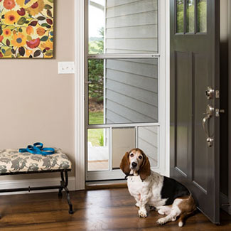 Best storm door shop with dog door