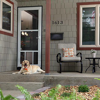 Larson large built-in pet door