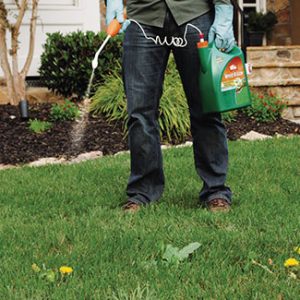 Outdoor Living Lawn Care